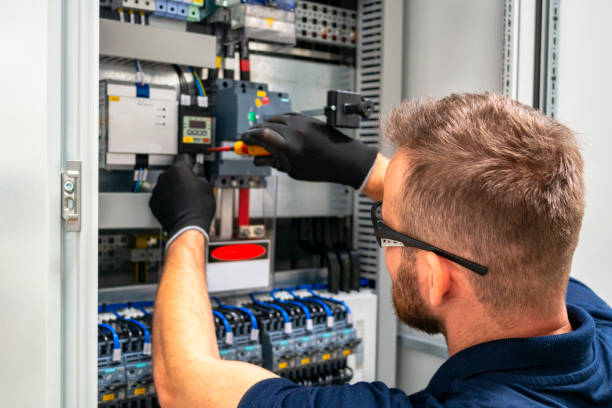 Best Electrician for Home Renovation  in Homer, LA