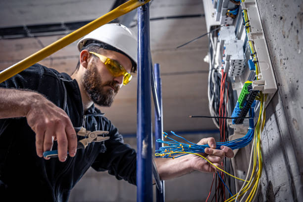 Best Ceiling Fan Installation Electrician  in Homer, LA